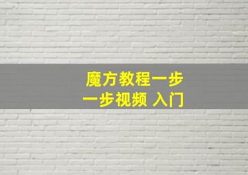 魔方教程一步一步视频 入门